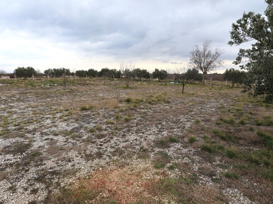 Baugrundstück im Hinterland von Vodice