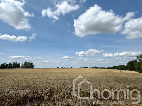 Acker mit kl. Holzungs-/Grünlandanteil (ca. 7,3 ha) zw. Chemnitz und Leipzig