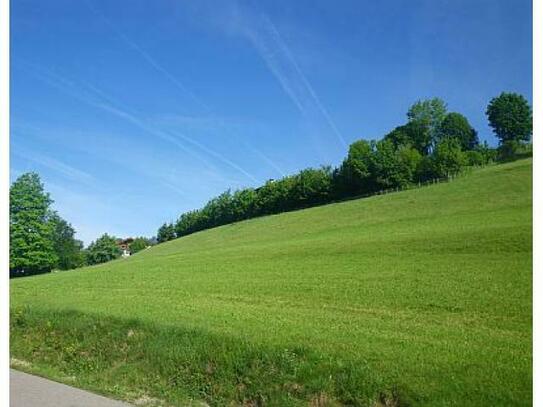 Bergwiese am Sonnenhang