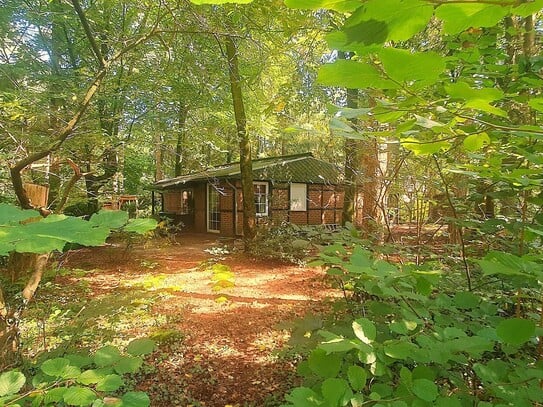 *#*OHNE PROVISION*#*TRAUMGRUNDSTÜCK IM WALD + KLEINES HAUS*NUR 30 MIN. BIS ELBBRÜCKEN *#*