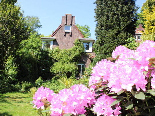 ZFH in guter Lage von HH - Langenhorn