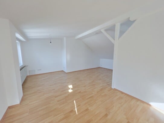 Stadt-Apartment: HELL, RUHIG & ZENTRAL (=> 5 min Jahnplatz)