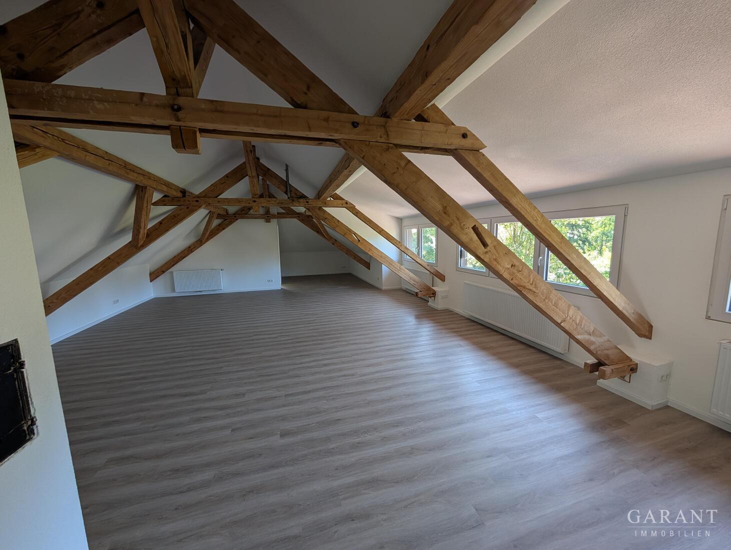 Attraktives Wohn- und Geschäftshaus im Herzen der Domstadt St. Blasien! – 79837 St. Blasien, 79837 St. Blasien – Vorschaubild 24