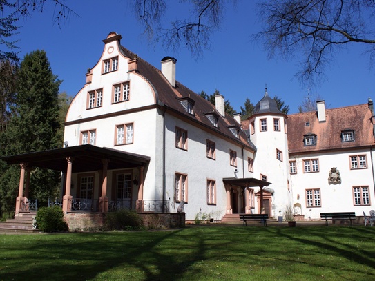 Büro- / Praxisräume Schloss Weiler