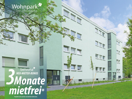 Frisch sanierte 3 Zimmer-Ahorn-Luxuswohnung im Wohnpark Zum Schanzengraben! 3 Monate mietfrei!