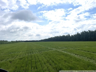 Beispielfoto Grünland