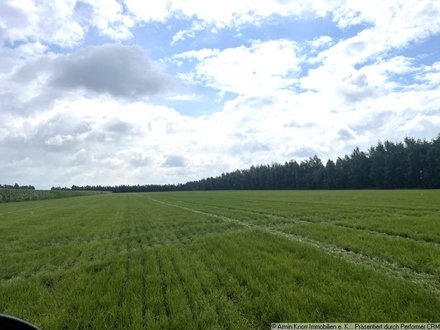 Ca. 26 ha landwirtschaftliche Flächen, größtenteils Grünland, in Hambergen, Vollersode/ Landkreis Osterholz