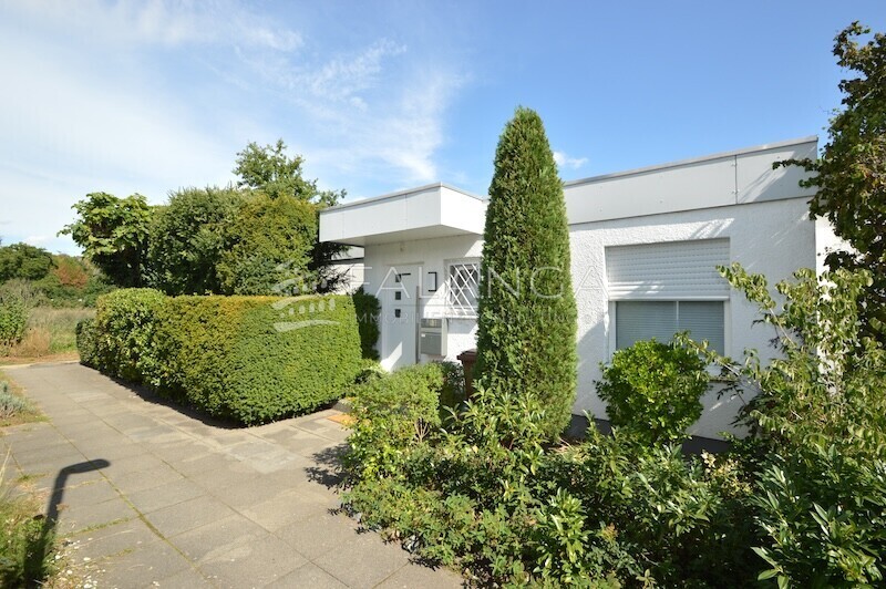 FALANGA IMMOBILIEN-Begehrter großer Bungalow in prima Zustand und top Grünlage in Mörfelden-Walldorf – 64546 Mörfelden-Walldorf / Walldorf, 64546 Mörfelden-Walldorf / Walldorf – Vorschaubild 4