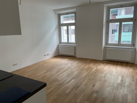 ERSTBEZUG: Herrliche moderne 3-Zimmer-Innenstadtwohnung nähe Kaiser Josef Platz (5332)