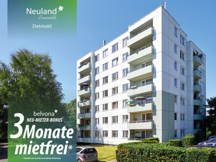 Frisch sanierte 2 Zi- belvona Luxuswohnung in Ahorn! Neumieter-Bonus: 3 Monate mietfrei! Frisch sanierte 2 Zi- belvona Luxuswohnung in Ahorn! Neumieter-Bonus: 3 Monate mietfrei!