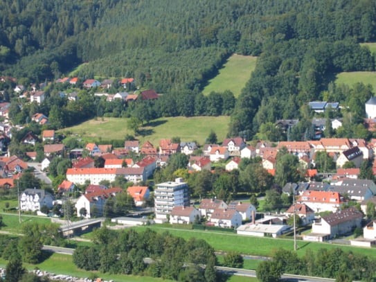 Kapitalanlage: Attraktive Baulücke 6000 m², Südhanglage, unverbaubarer Burgblick,