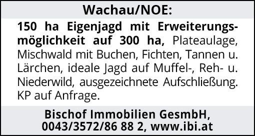 Wachau/NOE: 150 ha Eigenjagd mit Erweiterungsmöglichkeit auf 300 ha, Plateaulage, Mischwald mit Buchen, Fichten, Tannen…