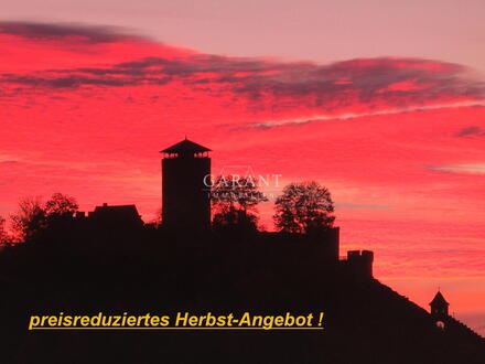 *** schöner und gepflegter Bungalow in traumhafter Wohnlage mit Burgblick ... ! ***