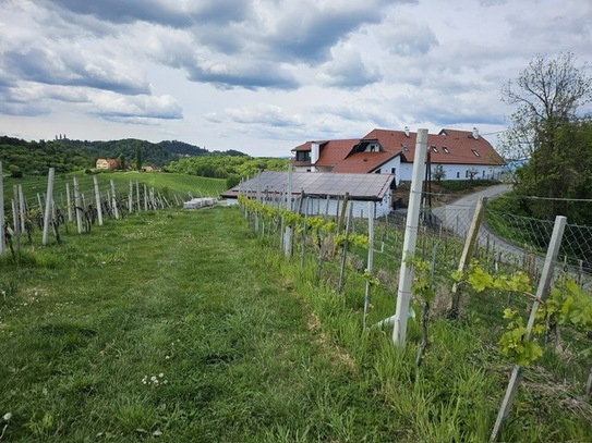 Herrschaftliches generalsaniertes Anwesen in der südsteirischen Toskana mit phänomenaler Aussicht