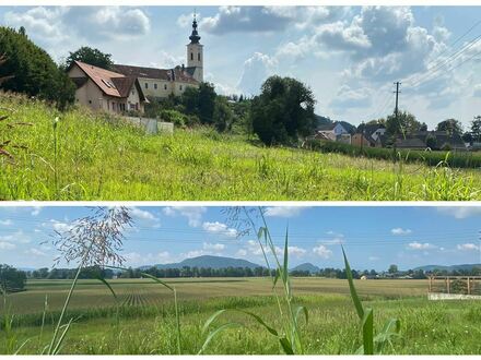 SCHLOSSBLICK ODER BLICK INS UNVERBAUTE GRÜN GENIESSEN! Lichtdurchflutete Gartenwohnung mit dem"GRÜNEN"EXTRA!