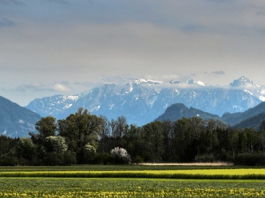 Rarität in Alleinlage mit Bergpanoramablick ! Bad Feilnbach