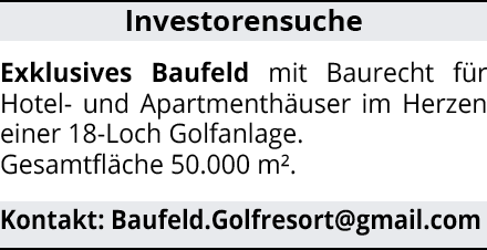 Investorensuche