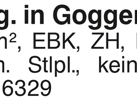 2- Zi.- Whg. in Goggenbach