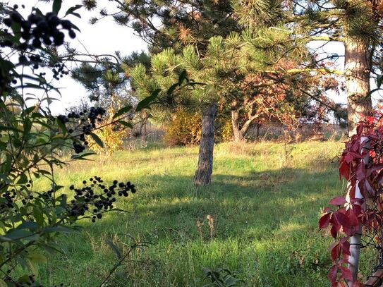 Einfamilienhaus mit ca. 1.790,00 m² großer Wiese in ländlicher Lage von Querfurt