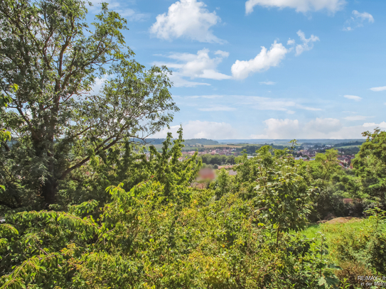 Ehemaliges Unternehmeranwesen in ruhiger Südhanglage, in Schlosshöhe mit unverbaubarer Aussicht