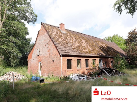 Haus mit ca.1,1ha Weide und kleinem Wäldchen