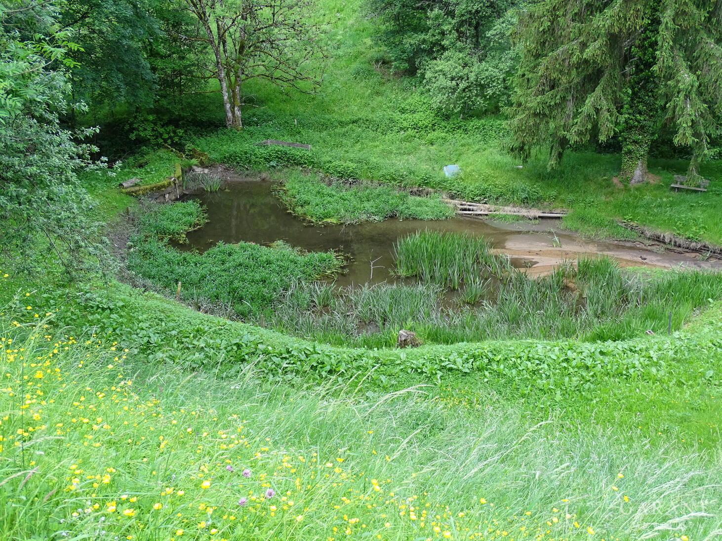 Exklusives Mehrfamilienhaus mit weitläufigem Park in einmaliger Lage! – 79669 Zell im Wiesental, 79669 Zell im Wiesental – Vorschaubild 28