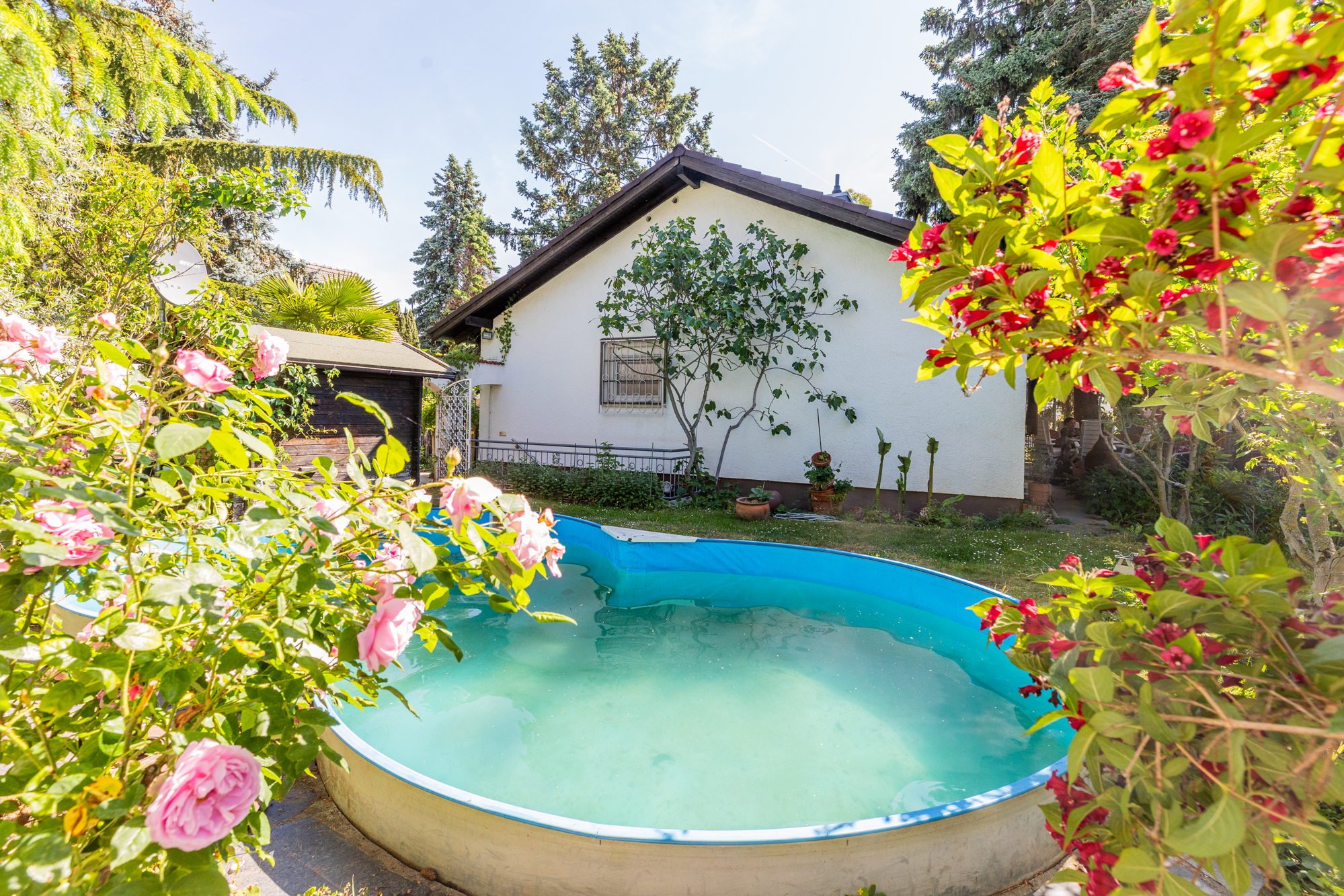 Haus im Bungalow-Stil auf großem Grundstück mit traumhaftem Garten, altem Baumbestand und Pool – 55246 Mainz-Kostheim, 55246 Mainz-Kostheim – Vorschaubild 9
