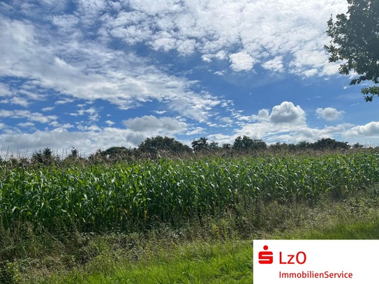 Landwirtschaftliche Flächen in Westerstede Westerloyerfeld zu verkaufen