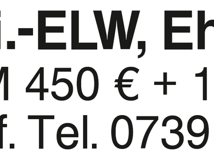 1 ELW Ehingen