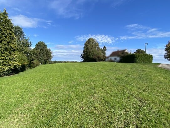 Baugrundstück mit Wiese in Neu-Ulm/Holzschwang