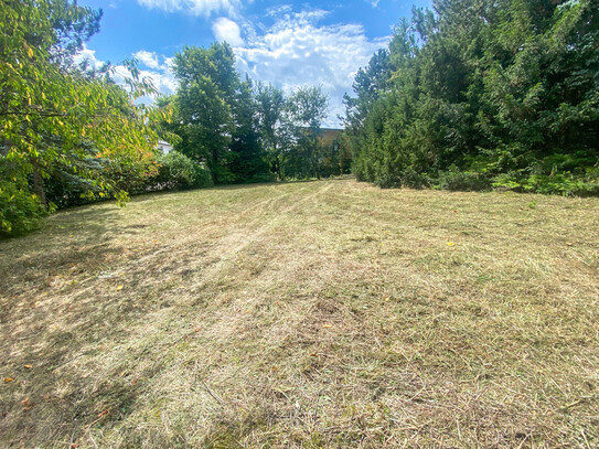 Fantastisches Baugrundstück Nähe Sportplatz Wolfsgraben