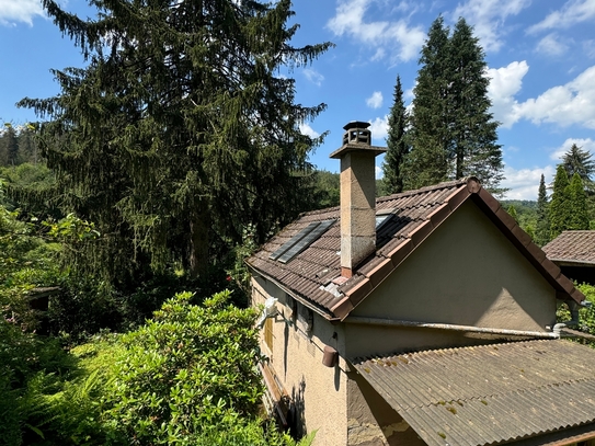 Großes Gartengrundstück mit massivem Gartenhaus