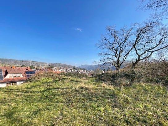 Ruhige Wohnlage mit Fernblick über Collenberg – Erfüllen Sie sich Ihren Wohntraum!