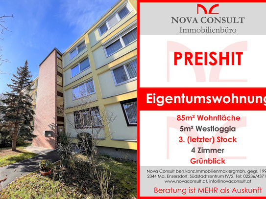 PREISHIT! 4-Zimmerwohnung mit Grünblick!