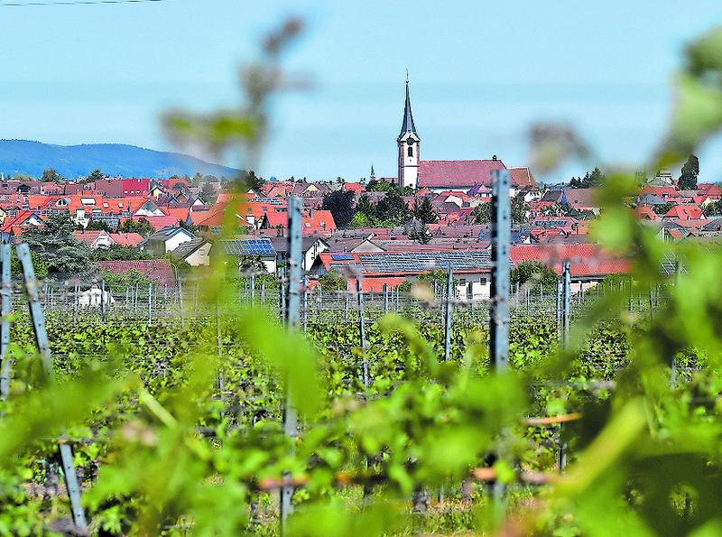 Ortsansicht Maikammer