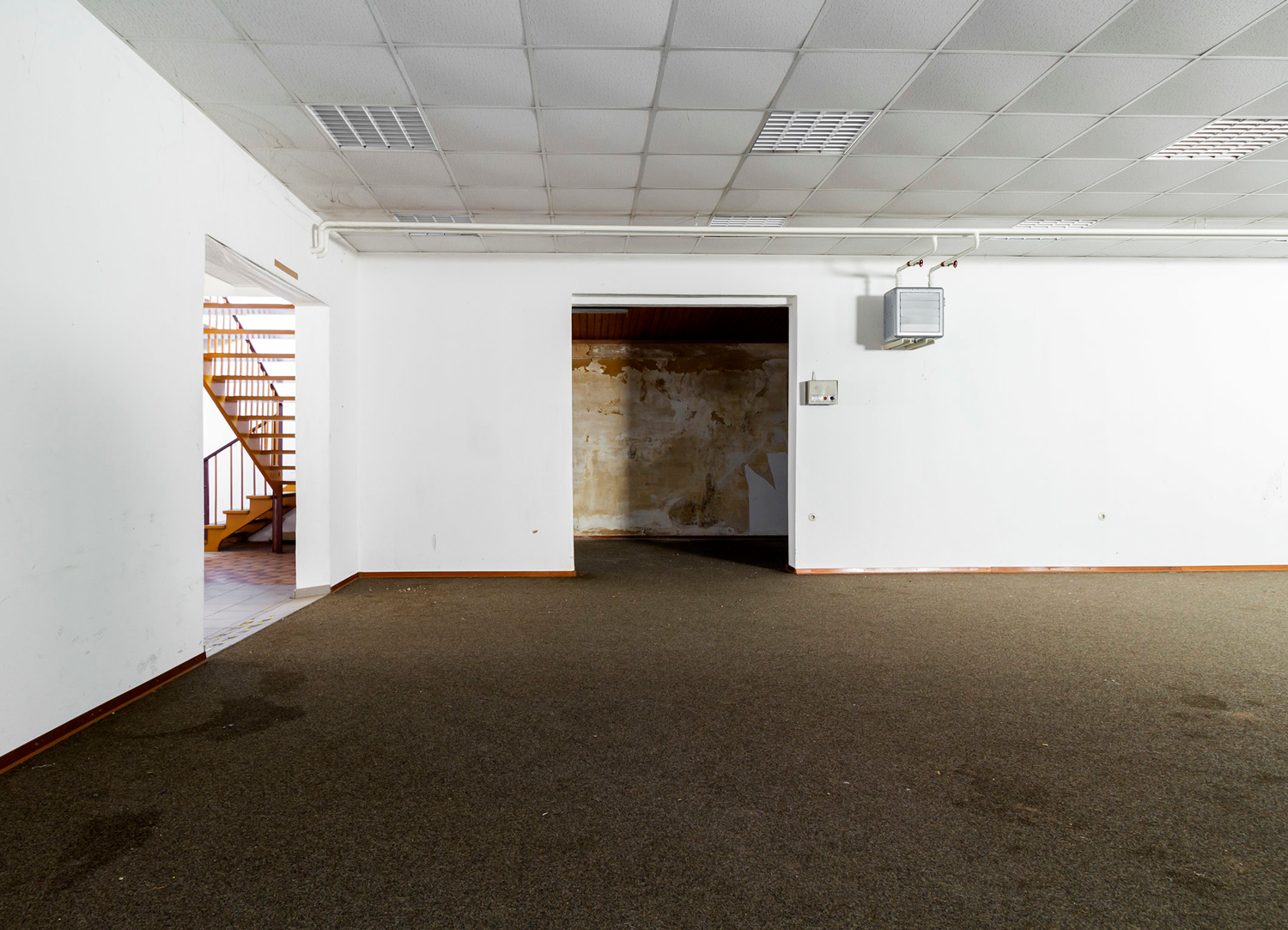 3-Familienhaus mit gr. Gewerbehalle in ruhiger Lage von Griesheim – 64347 Griesheim, 64347 Griesheim – Vorschaubild 37