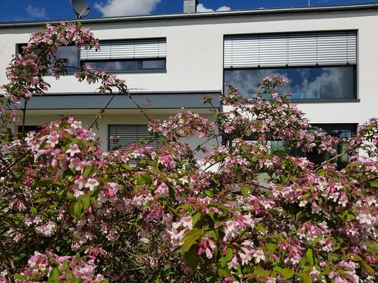 Modernes Wohnen im Ostallgäu im Zentrum von 5 Städten