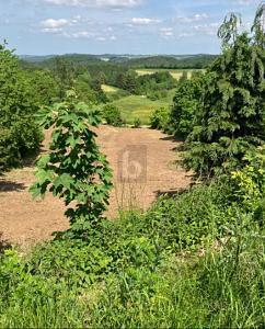 BAUGRUNDSTÜCK IN BESTLAGE IN DER VULKANEIFEL