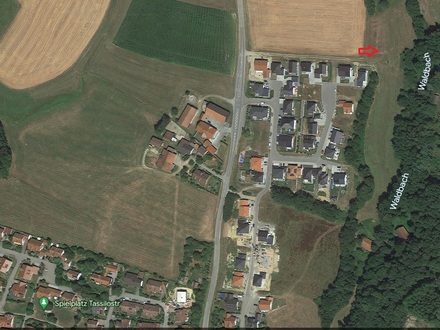 Grundstück (Wiese) Ortsrand Schwarzach zu verkaufen