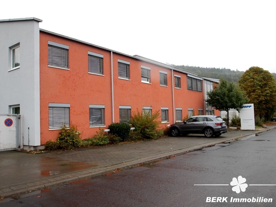 BERK Immobilien - div. Produktions-/Lagerhallen + Büroräume auf 2225m² Gewerbefläche in Partenstein