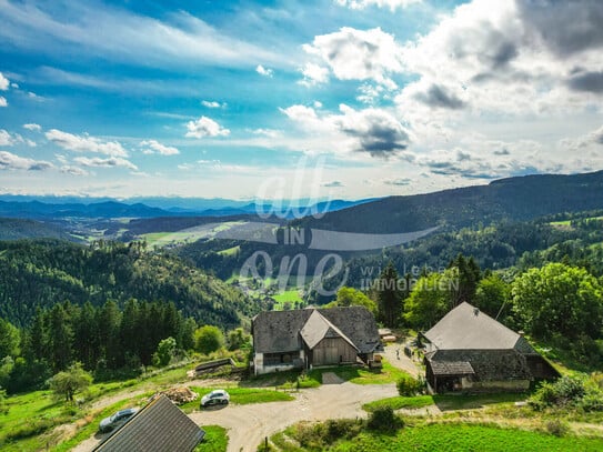 Landwirtschaft in traumhafter Alleinlage mit Panoramablick