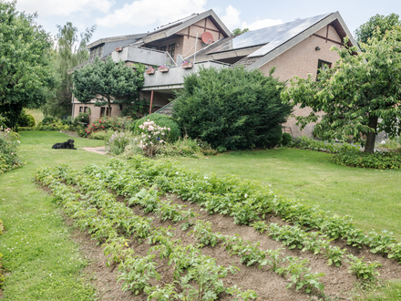 Geräumiges Einfamilienhaus mit separater Praxis und Blick ins Grüne