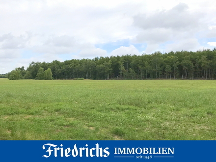 Ca. 5 ha Grünlandfläche mit hälftigem Wegeanteil in Edewecht-Jeddeloh I