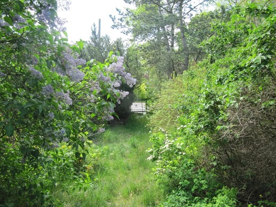 freies Baugrundstück in einer grünen Wohnlandschaft für EFH/MFH nach B-Plan an Berliner Stadtgrenze