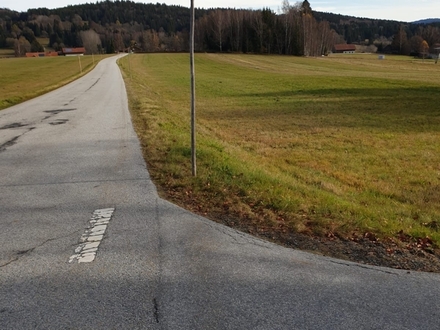 Wiesengrundstück Nähe Haidmühle