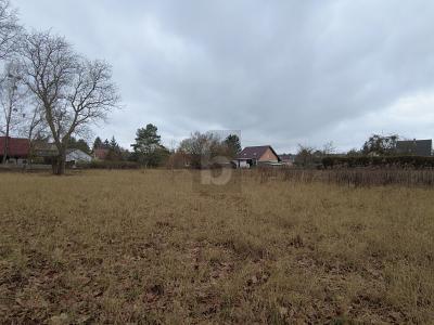 BAUEN IN GRÜNER UMGEBUNG