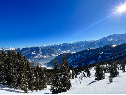 Schmittenhöhe! Baugrund Ski-In Ski-Out an der Skipiste der Sonnenalmbahn