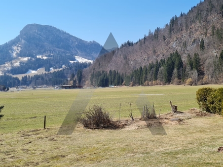 Sonniges Grundstück mit Altbestand in ruhiger Lage