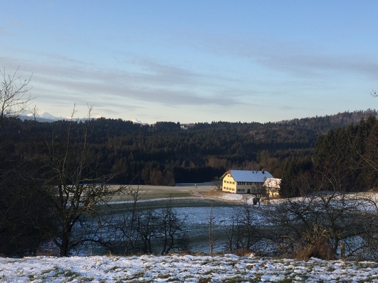 Stilvolles Haus in Alleinruhelage