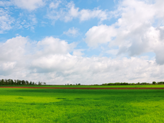 Großzügiges Baugrundstück in ruhiger Lage